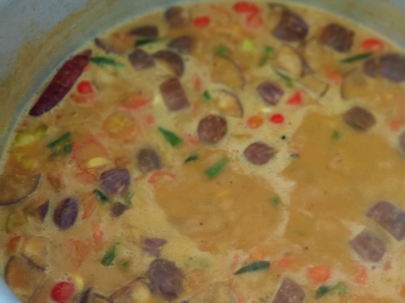 Tatva School Visit - Feb 2024