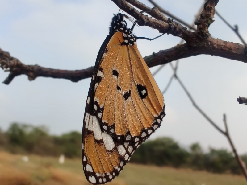 Tatva School Visit - Feb 2024